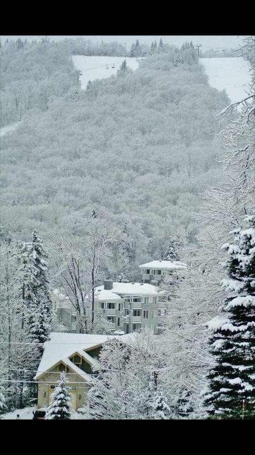 Appartamento Ski-In, Ski-Out Chaleureux Studio Loft Au Pied Des Pistes De Ski Stoneham Esterno foto
